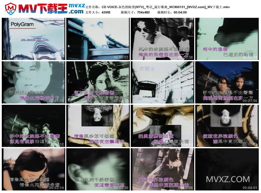 CD VOICE-灰色的盼望(MTV)_粤语_流行歌曲_MC900131